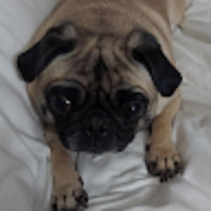 Meet your Posher, James